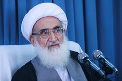 باید کسی را انتخاب کرد که ولایتمدار باشد آیتالله نوریهمدانی
