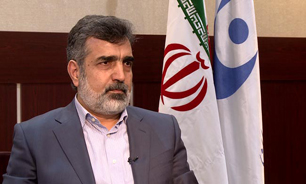 واکنش سخنگوی سازمان انرژی اتمی به ادعای ترور یک دانشمند هسته ای 2