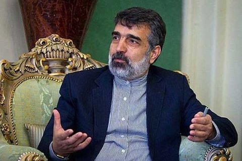 سخنگوی سازمان انرژی اتمی