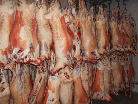 کمبود دام از شایعه تا واقعیت/ گوشت گوسفندی ارزان می شود گوشت قرمز