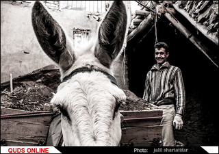 سایه مرگ بر سر روستای کنگ