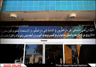 دنیای مردگان؛ دستهایی که خالی از دنیا می روند