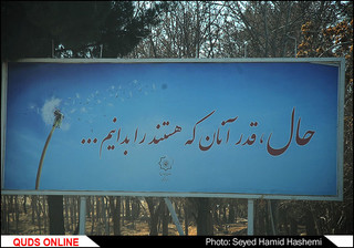 دنیای مردگان؛ دستهایی که خالی از دنیا می روند