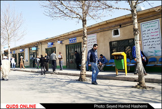 در ازدحام مرکز تعویض پلاک/تصاویر