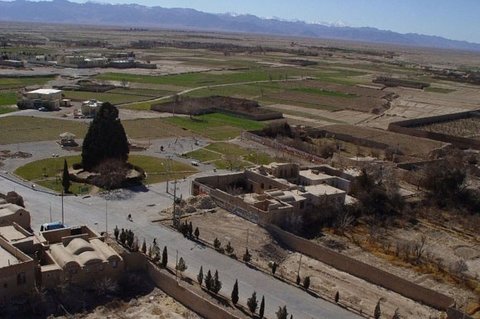 برای مشاهده مسن ترین موجود زنده ایران به ابرکوه سفر کنید ابرکوه - کراپشده