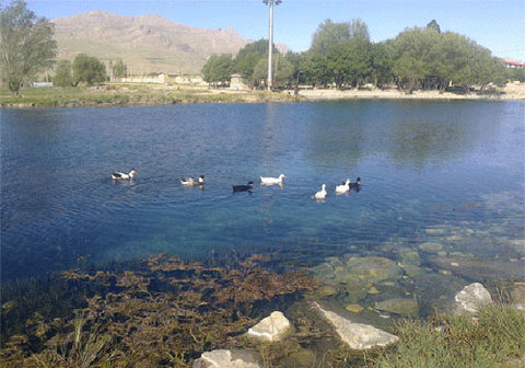 اتراق بهاری در کنار چشمه و دریاچه شلمزار - قدس آنلاین | پایگاه خبری - تحلیلی