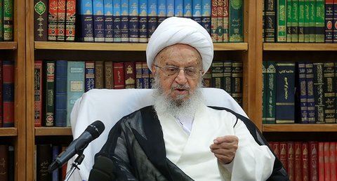 عامل اهانت به ساحت امام رضا(ع) مجازات شود مکارم
