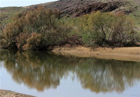 تالاب جازموریان براساس الگوی دریاچه ارومیه احیا می شود جازموریان