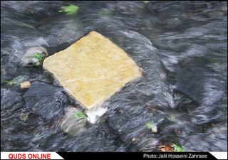اردوی یکروزه دختران بی سرپرست خیر یه عمیدی