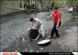 اردوی یکروزه دختران بی سرپرست خیر یه عمیدی