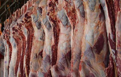 کاهش قیمت گوشت قرمز از ۶ تا ۱۶ درصد در میادین میوه و تره بار گوشت قرمز