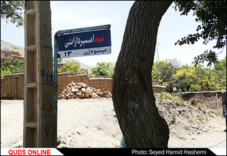 کوچه هایی به نام شهدا