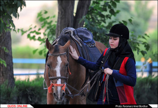 باشگاه سوارکاری ارشاد مشهد