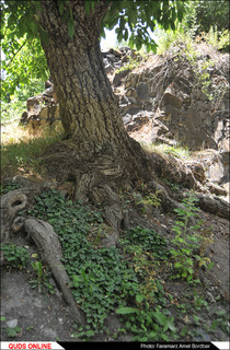 روستای زیبای مایان در خراسان رضوی
