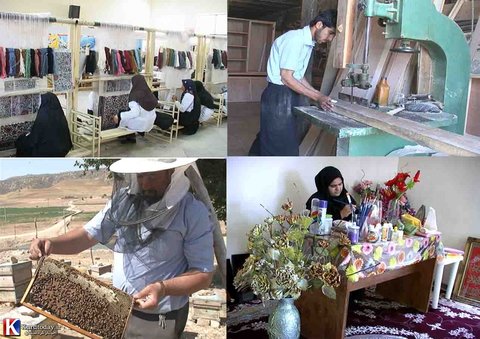 تعارفی در ایجاد اشتغال توسط مدیران گلستان نداریم اشتغال زایی روستایی