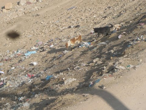 زندگی کودکان روستایی در کهگیلویه و بویراحمد در کنار زباله‌ و کودهای حیوانی 15