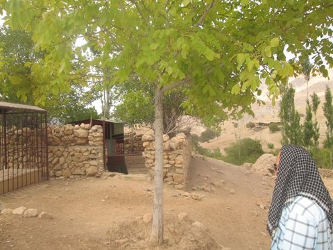تنها درخواست مادر شهید دیشموکی از مسئولان کهگیلویه و بویراحمد 14