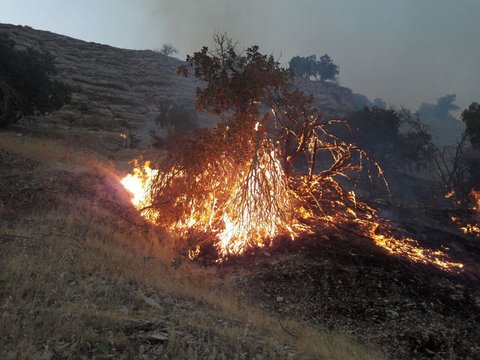 آتش سوزی منابع طبیعی کهگیلویه و بویراحمد ۴۵ درصد کاهش یافت 3