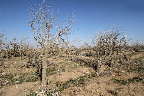 ۸میلیارد تومان اعتبار برای خشکسالی در فارس خشکسالی
