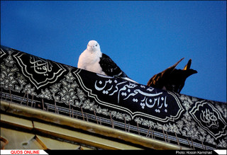 آیین خطبه خوانی شب عاشورا در صحن انقلاب اسلامی حرم مطهر رضوی / گزارش تصویری