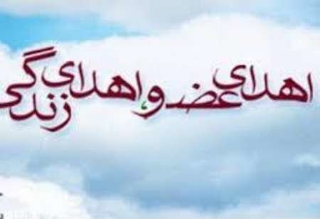 سال گذشته ۲۴۷۷ مورد پیوند کلیه در کشور انجام شد اهدا عضو