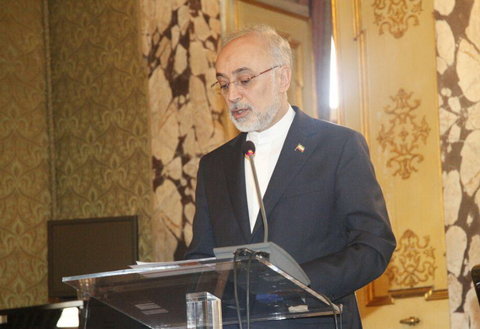 صالحی : الاتفاق النووی شكل انطلاقة لحقبة جدیدة من التعاون بین ایران والمجتمع الدولی علي اكبر صالحي