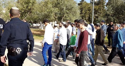 لليوم الرابع.. اقتحامات مكثفة للأقصى مستوطنون
