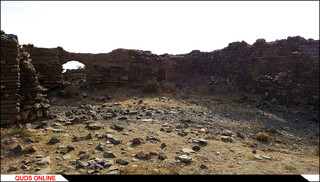 روستای درخت سپیدار