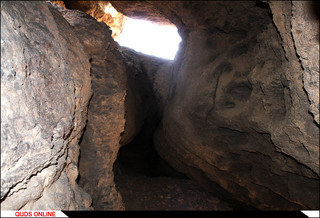 روستای درخت سپیدار