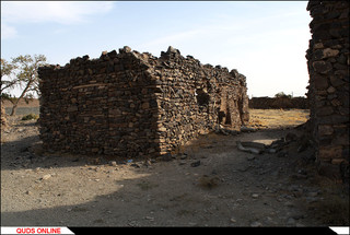 روستای درخت سپیدار