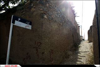 روستای درخت سپیدار