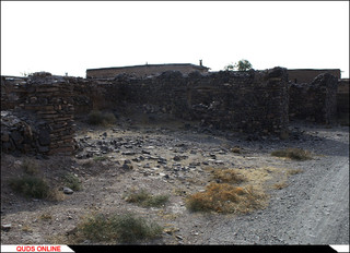 روستای درخت سپیدار