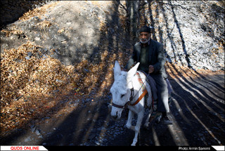طبیعت پاییزی دره "کنگ"
