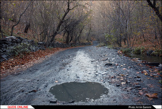 طبیعت پاییزی دره "کنگ"