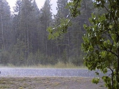 کاهش ۹درصدی بارندگی های سال جاری نسبت به دراز مدت شرکت آب منطقه ای گلستان