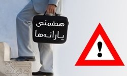دغدغه نظارت بر وارد کننده
دولت را از نظارت بر توزیع باز داشت هدفمندی یارانهها