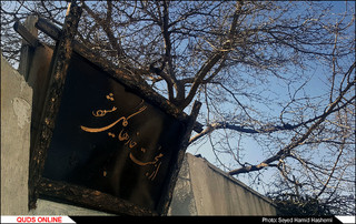نجات یافتگان