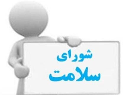۲۰ درصد سلامت به حوزه وزارت بهداشت مربوط است شورای سلامت