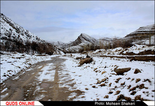 قالیبافان زحمت کش روستای " گرو ه"