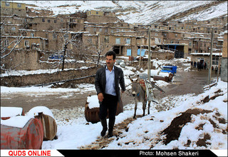 قالیبافان زحمت کش روستای " گرو ه"
