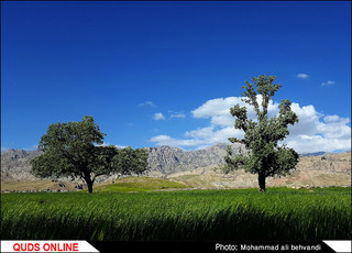 طبیعتی بکر و زیبا در استان خوزستان