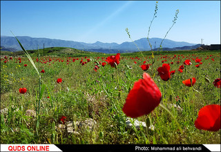 طبیعتی بکر و زیبا در استان خوزستان