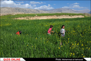 طبیعتی بکر و زیبا در استان خوزستان