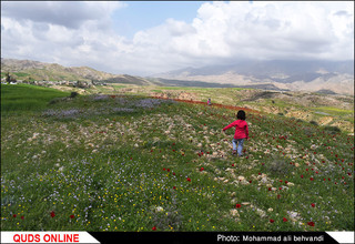 طبیعتی بکر و زیبا در استان خوزستان