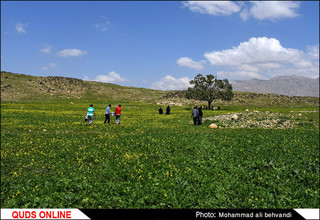 طبیعتی بکر و زیبا در استان خوزستان