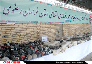 کشفیات نیروی انتظامی