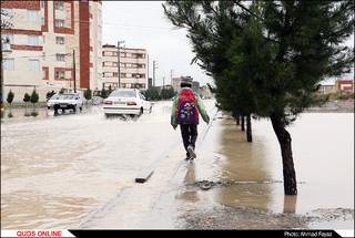 ونیزی به نام الهیه مشهد- گزارش تصویری