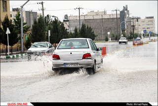 ونیزی به نام الهیه مشهد- گزارش تصویری