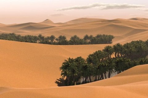 اجرای پروژه بیابانزدائی با حمایت معاون علمی و فناوری رئیس جمهور در گناباد مرکز رشد فناوری