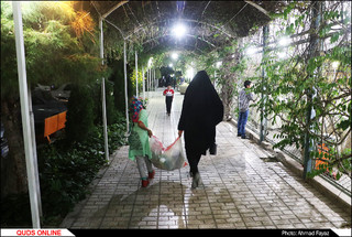 اطعام و اکرام نیازمندان توسط مجمع خیرین و نیکوکاران